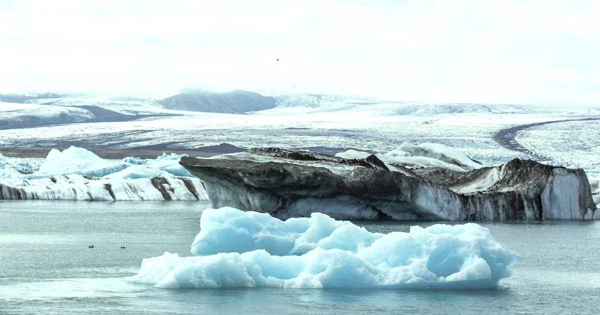 What Is the 90-Second Rule for Emotions? (And How to Use It) — Emotional Resilience article hero: outdoor nature only (no people): trees, plants, flower…