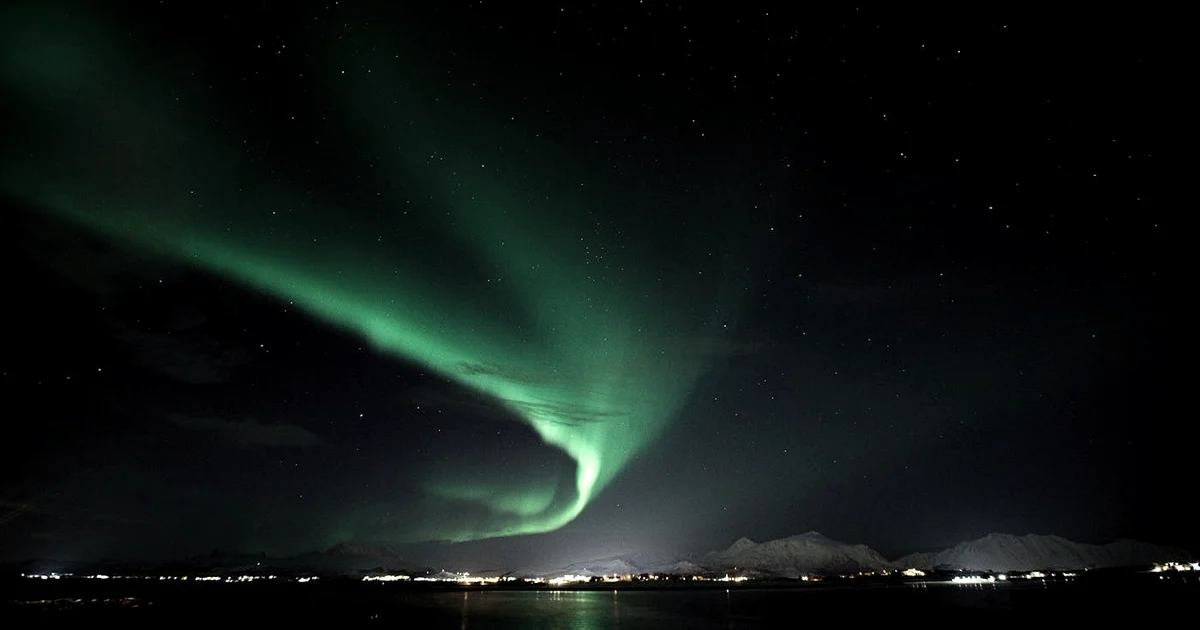 Best Gratitude Journals Compared: A 2026 Buyer’s Guide — Gratitude article hero: outdoor nature only (no people): trees, plants, flowers, land, water, o…