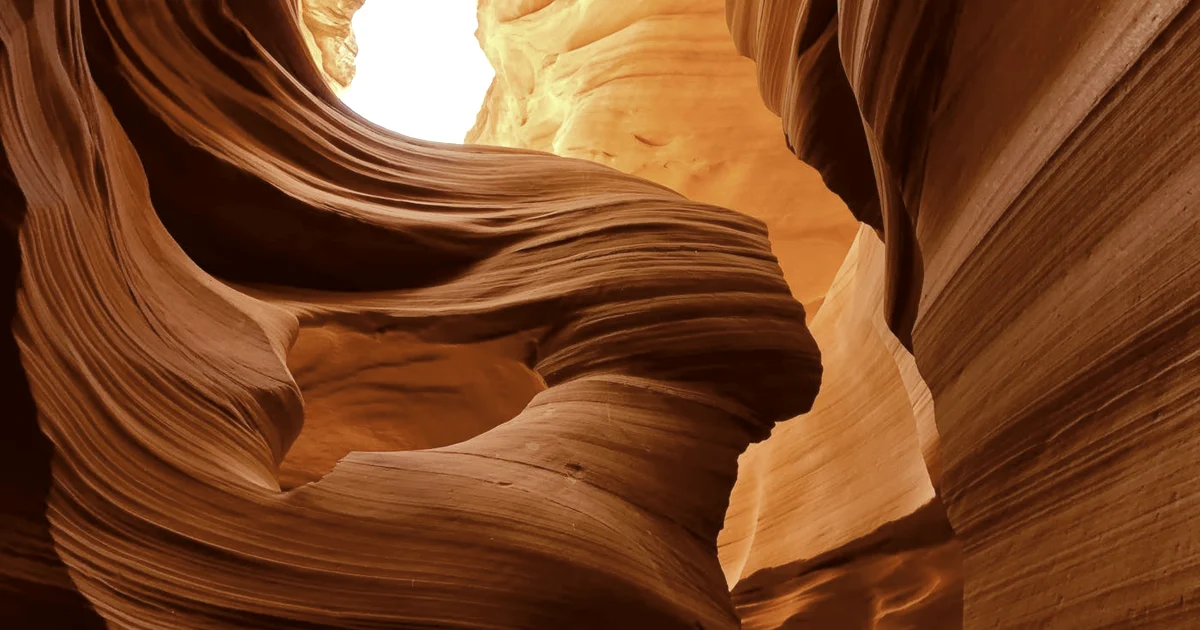 Evening Journal Routine for Better Sleep and Less Mental Noise — Lifestyle article hero: outdoor nature only (no people): trees, plants, flowers, land, …