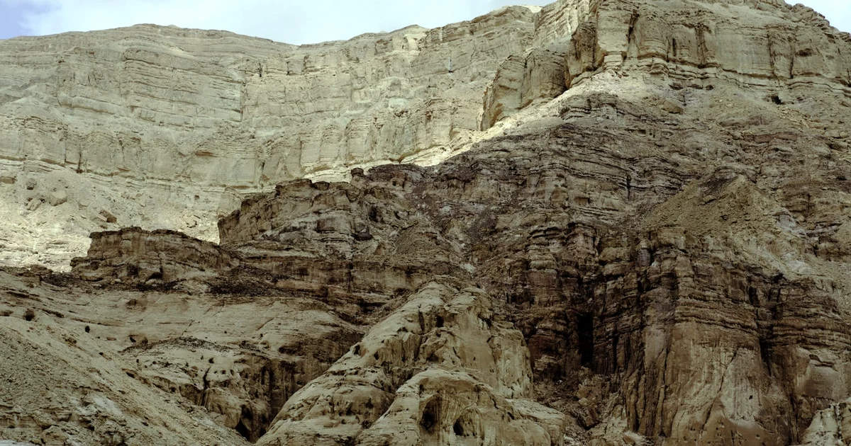 Finding Your IKIGAI: A Complete Guide (Cultural Context + Practice) — Purpose article hero: outdoor nature only (no people): trees, plants, flowers, lan…