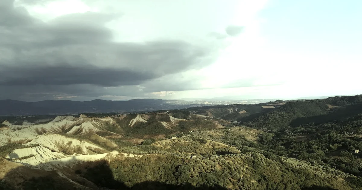 Habit Stacking and the RAS: Train Attention Without the Hype — Habits article hero: outdoor nature only (no people): trees, plants, flowers, land, water…