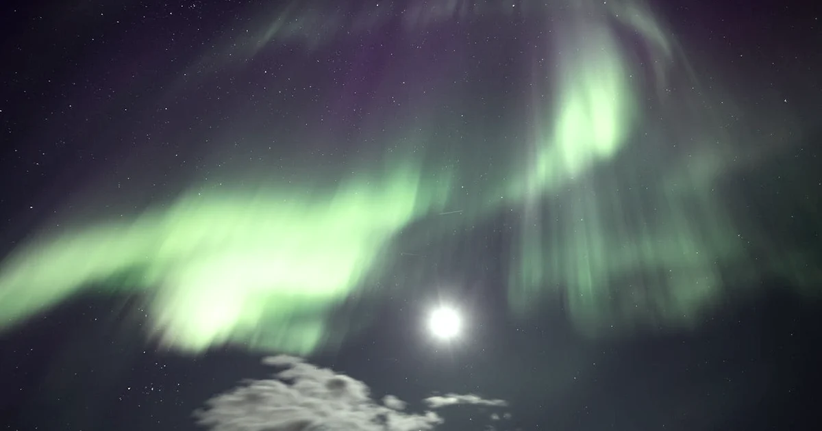 How Affirmations Interact With Your Brain: A Sober Neuroscience View — Habits article hero: outdoor nature only (no people): trees, plants, flowers, lan…