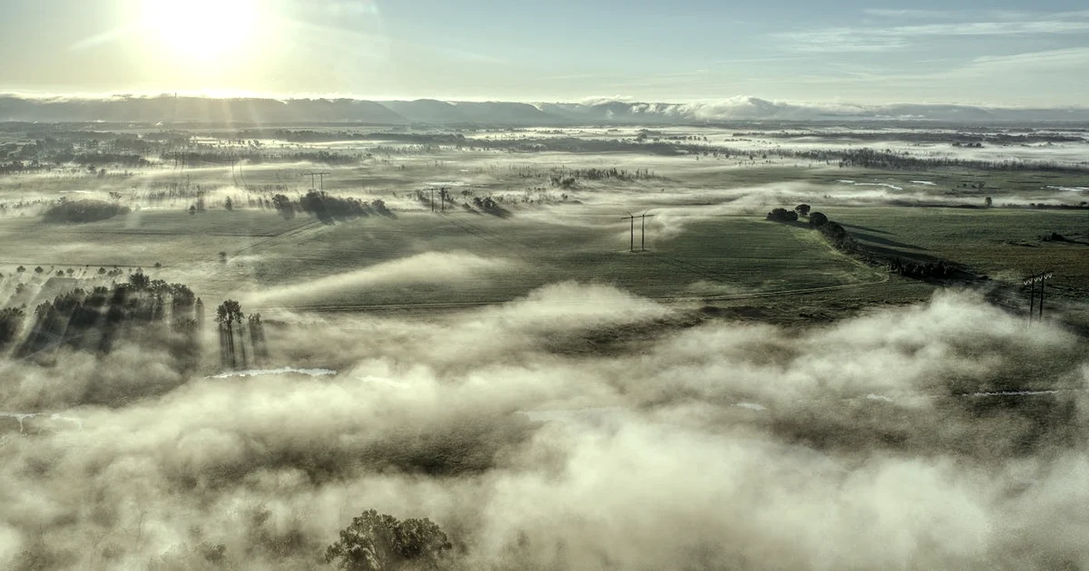 How to Find Your IKIGAI: A Step-by-Step Guide (No Perfect Diagram Required) — Purpose article hero: outdoor nature only (no people): trees, plants, flow…