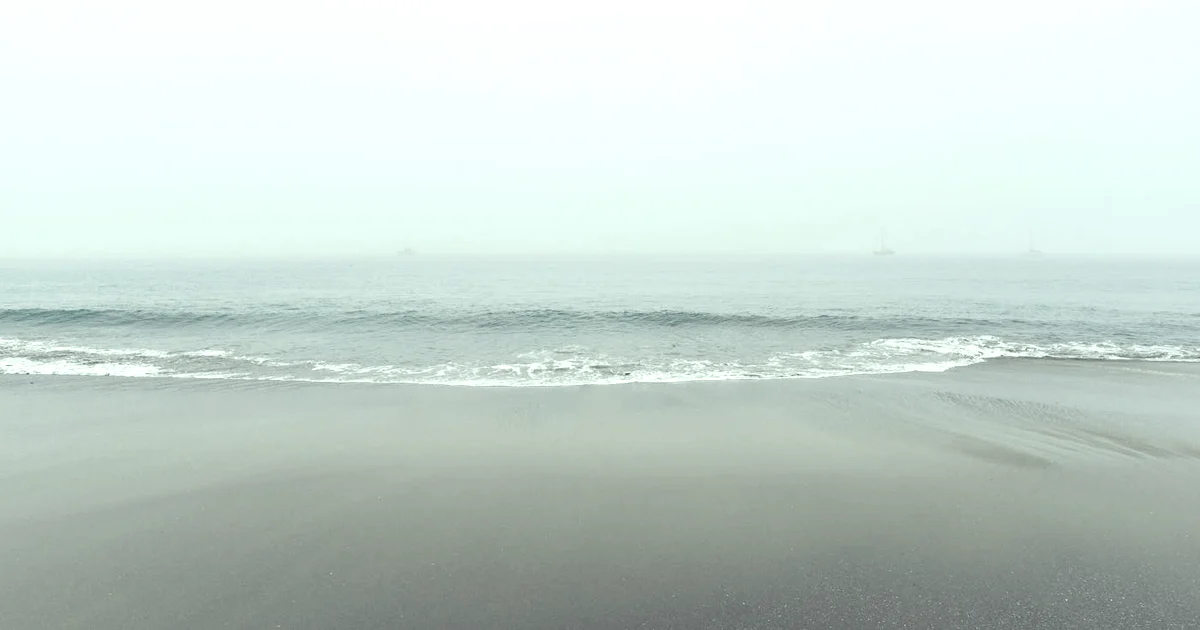 Week 3: Self-Fulfilling Prophecy — What Your Story Does to Your Body (12-Week Journey) — Reflection article hero: outdoor nature only (no people): trees…