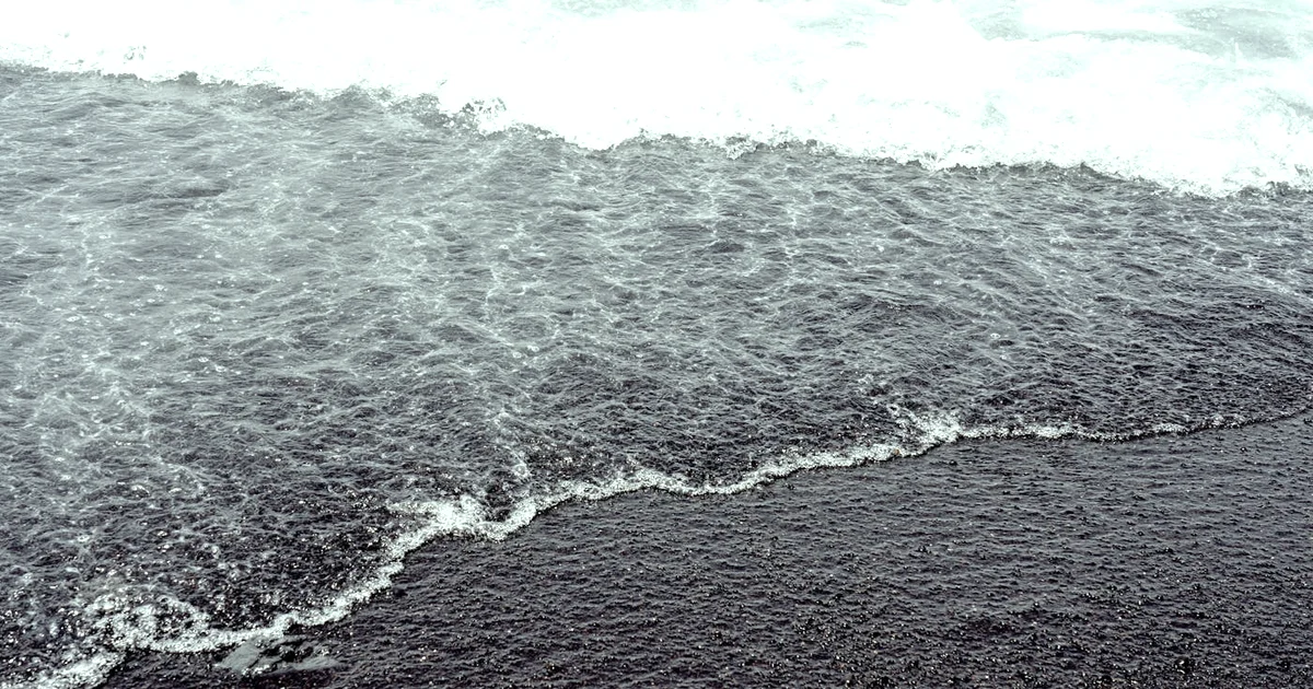 Week 4: Reflection and Intentional Tech — Reclaim Your Attention (12-Week Journey) — Reflection article hero: outdoor nature only (no people): trees, pl…