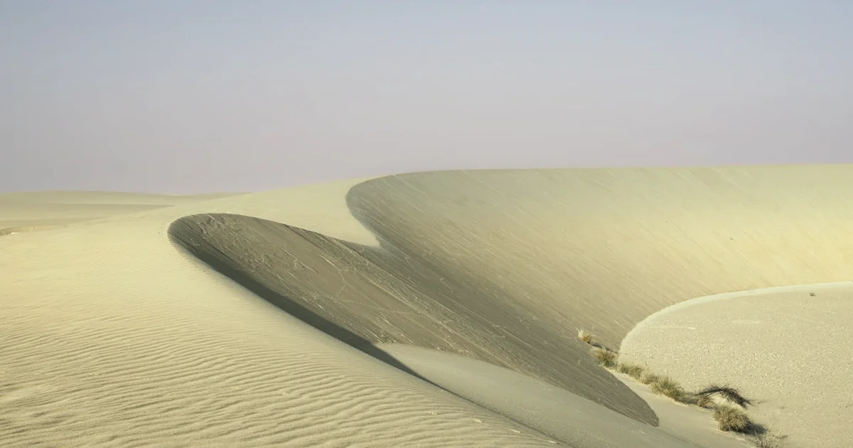 30 Kindness Journal Prompts to Practice (Without Performing) — Connection article hero: outdoor nature only (no people): trees, plants, flowers, land, w…