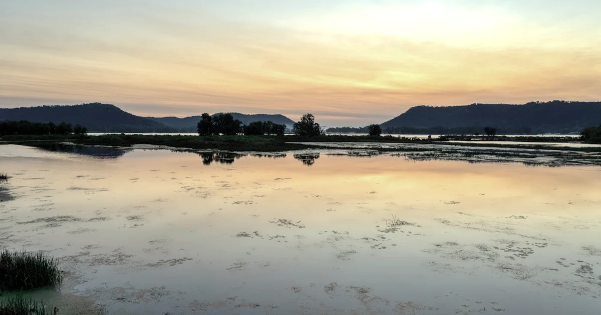 Your Mental Health Toolkit: Gratitude, Mindfulness, and Journaling Together — Lifestyle article hero: outdoor nature only (no people): trees, plants, fl…