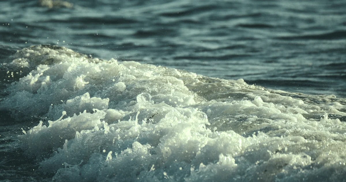 Building a Morning Routine for Mental Health (Flexible, Not Instagram) — Lifestyle article hero: outdoor nature only (no people): trees, plants, flowers…