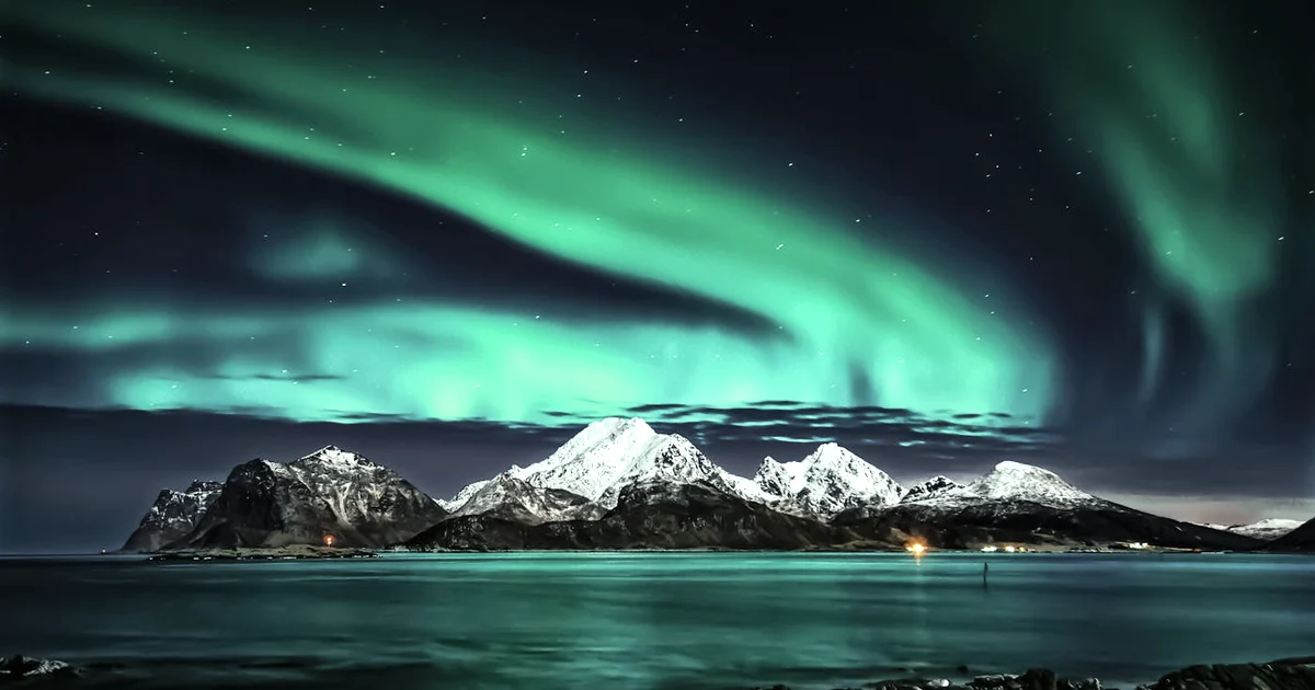 New Year Journal Challenge: Start a 12-Week Journey Without the Shame Spiral — Gratitude article hero: outdoor nature only (no people): trees, plants, f…