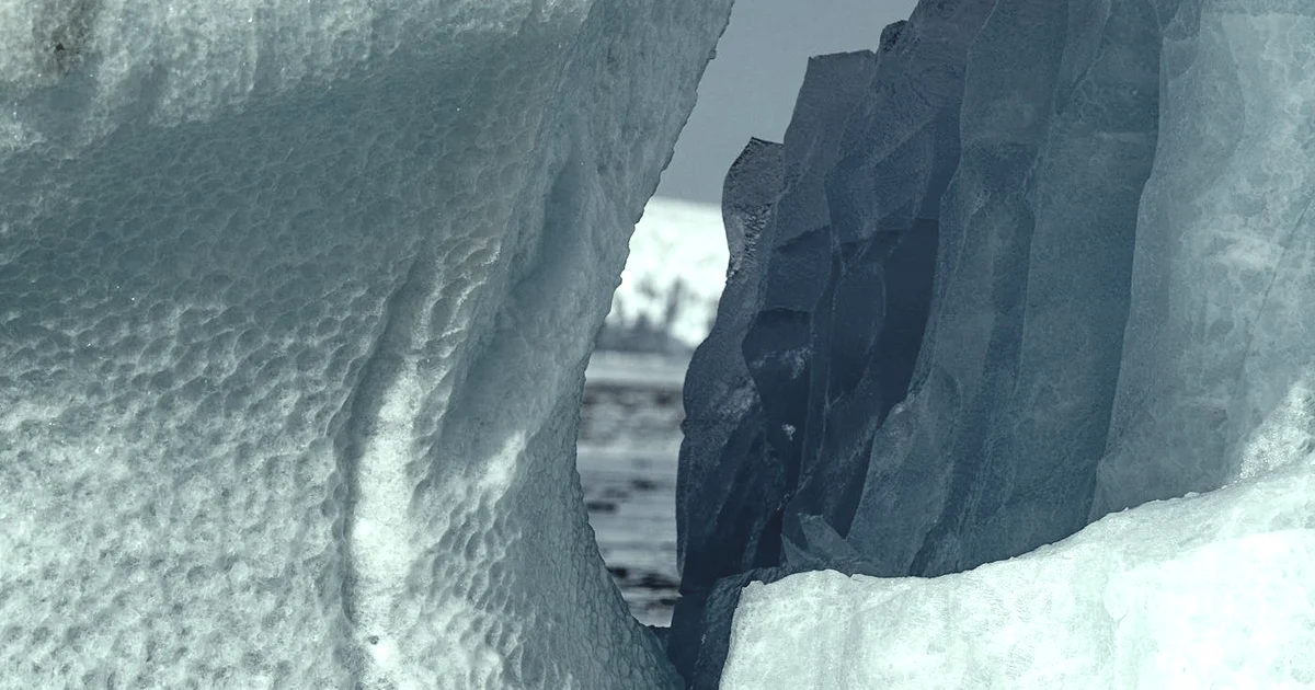 The Peak-End Rule: Why Endings Shape Your Memories (With Examples) — Emotional Resilience article hero: outdoor nature only (no people): trees, plants, …